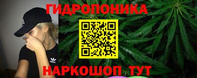 Альфа ПВП Жуковский