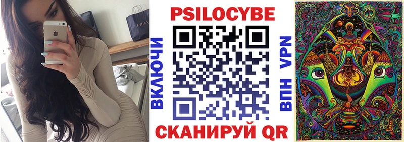 Псилоцибиновые грибы мицелий  Черногорск 