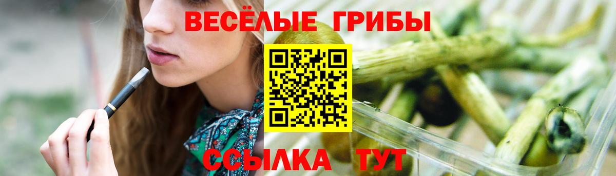 Черногорск  дарнет шоп  Вход с VPN  Галлюциногенные грибы мицелий  Галлюциногенные грибы Magic Shrooms 