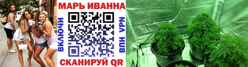 Шишки марихуана сатива  что такое   Черногорск 